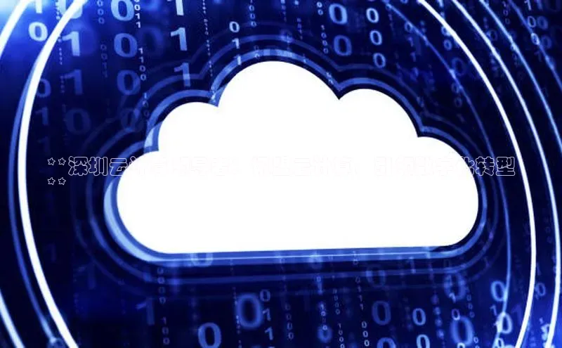 意昂4官网百度游戏开放平台**深圳云计算领导者：讯盟云计算，引领数字化转型
**