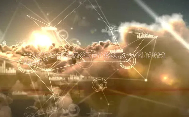 意昂458同城**如何通过分录记录公司云计算费用：一个循序渐进
的指南**