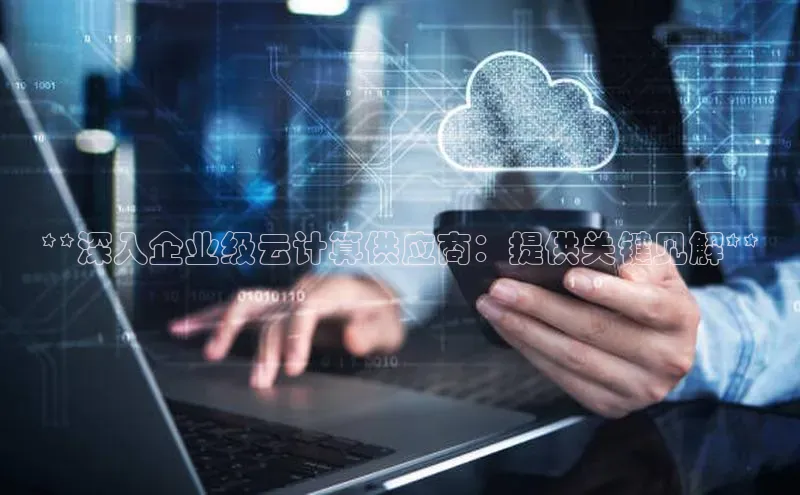 意昂体育4招商顺丰**深入企业级云计算供应商：提供关键见解**