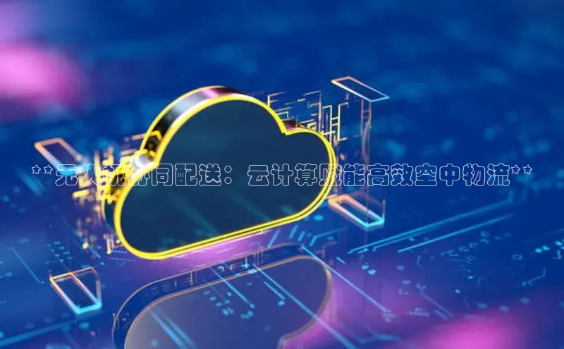 意昂458同城**无人机协同配送：云计算赋能高效空中物流**