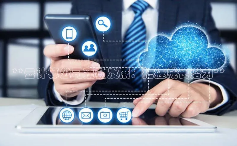 意昂体育4官网百度手机输入法**云计算公司蓬勃发展：把握成长潜力**