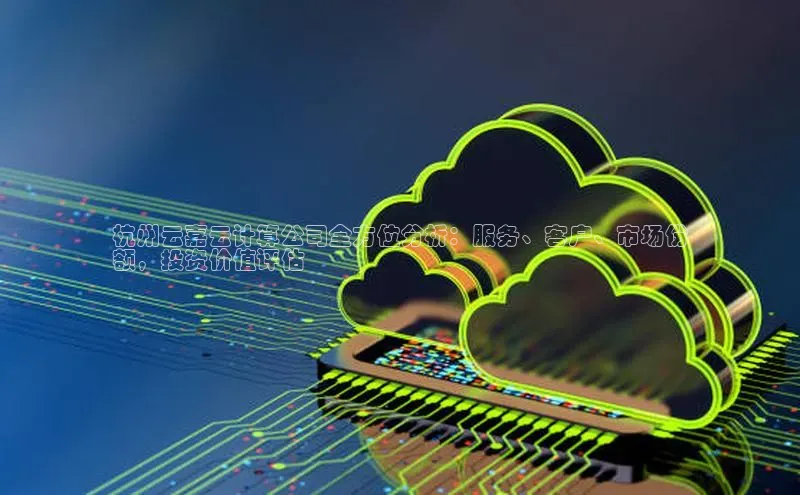 意昂体育4官网挪威主权基金杭州云嘉云计算公司全方位分析：服务、客户、市场份
额，投资价值评估