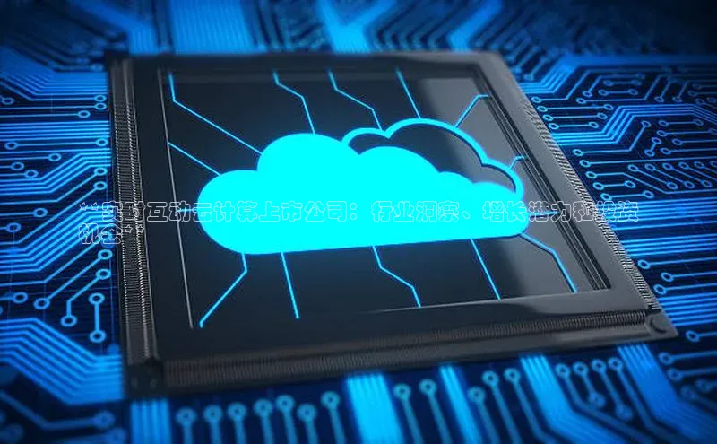 意昂体育4官网挪威主权基金**实时互动云计算上市公司：行业洞察、增长潜力和投资
机会**