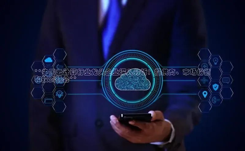 意昂4招商神思电子**中国云计算行业龙头企业深入分析：提供商、市场份额
和投资机会**