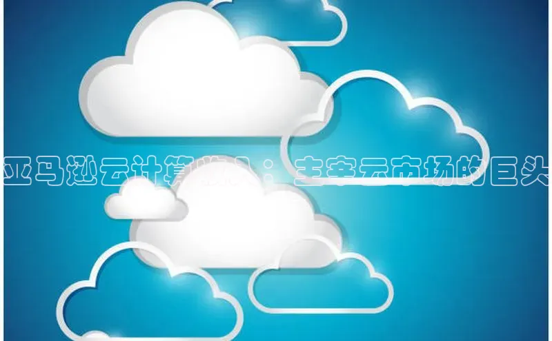 EON4代理轻美电器亚马逊云计算收入：主宰云市场的巨头