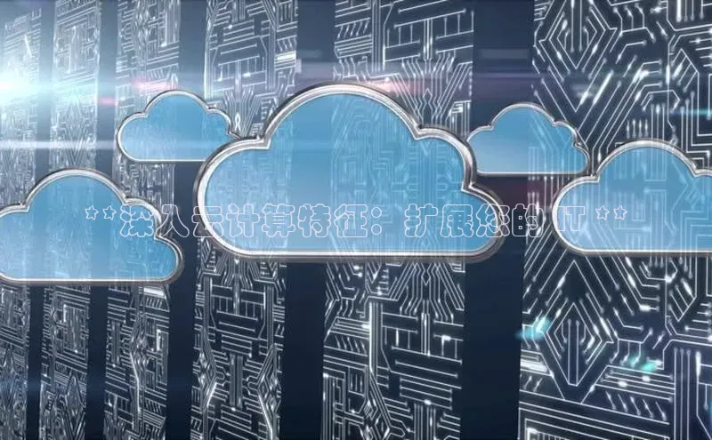 EON体育4猫眼**深入云计算特征：扩展您的 IT **