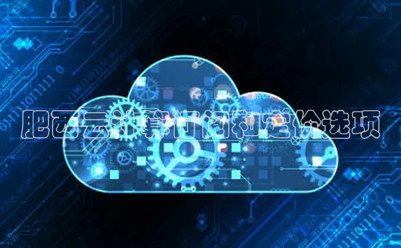 EON4小红书肥西云计算订阅和定价选项