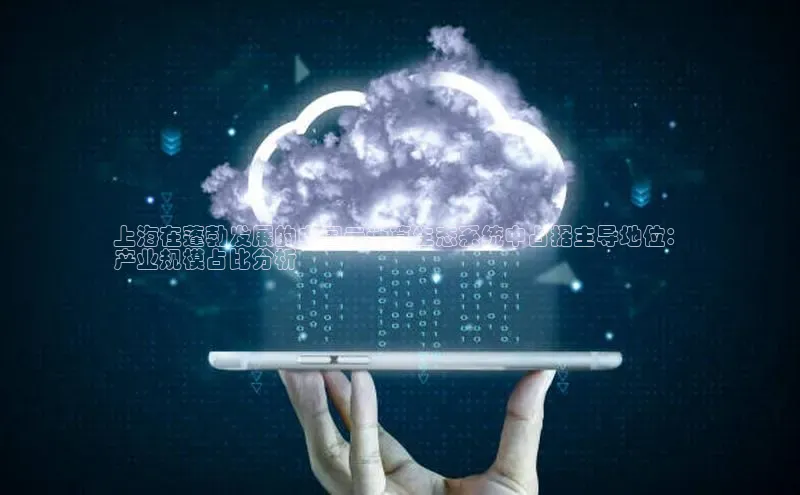 意昂体育4官网挪威主权基金上海在蓬勃发展的中国云计算生态系统中占据主导地位：
产业规模占比分析