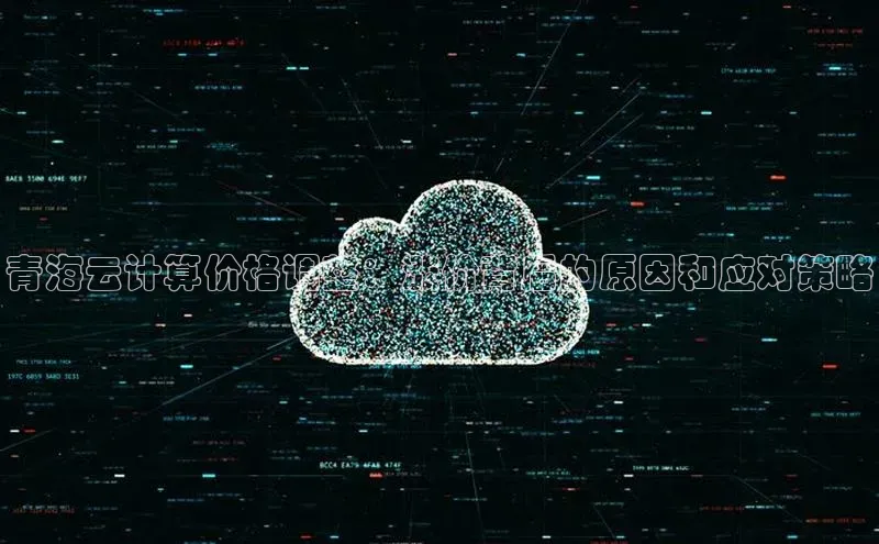 意昂4网易青海云计算价格调整：涨价背后的原因和应对策略