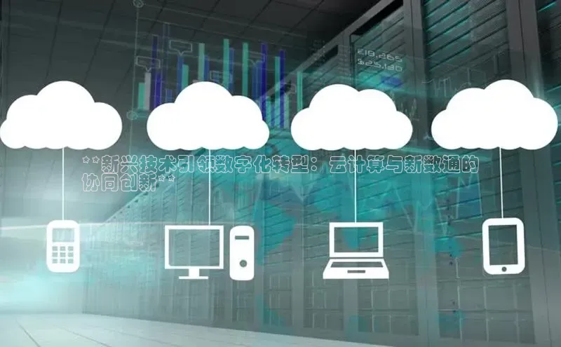 意昂体育4代理赛富乐斯**新兴技术引领数字化转型：云计算与新数通的
协同创新**