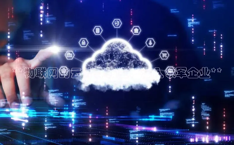 意昂体育4阿里尔公司**物联网的云计算霸主：深入领军企业**