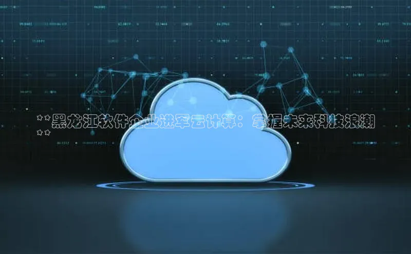 意昂4登录如流**黑龙江软件企业进军云计算：掌握未来科技浪潮
**