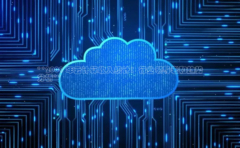 EON4官网度小满理财**2009 年云计算收入统计：行业领导者和趋势
分析**