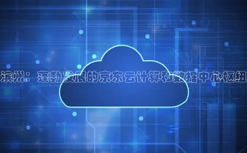 意昂体育4小米滨州：蓬勃发展的京东云计算和数据中心枢纽