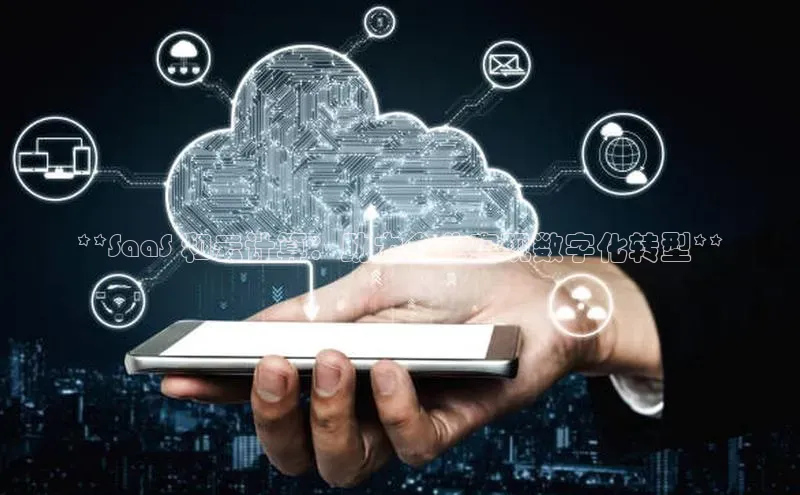 意昂4登录梯哥哥科技**SaaS 和云计算：助力企业实现数字化转型**