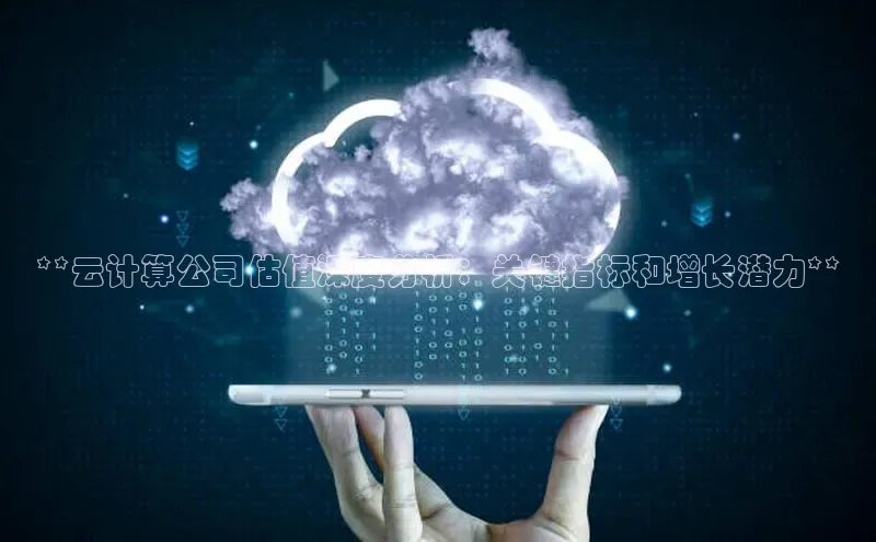 意昂体育4路畅科技**云计算公司估值深度分析：关键指标和增长潜力**